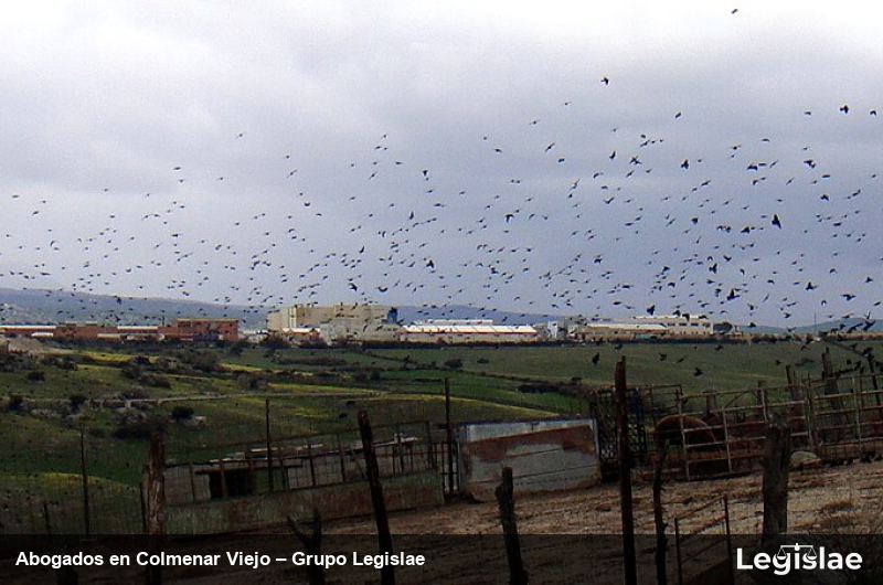 Abogados en Colmenar Viejo – Grupo Legislae