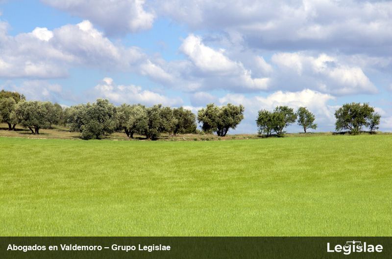 Abogados en Valdemoro – Grupo Legislae